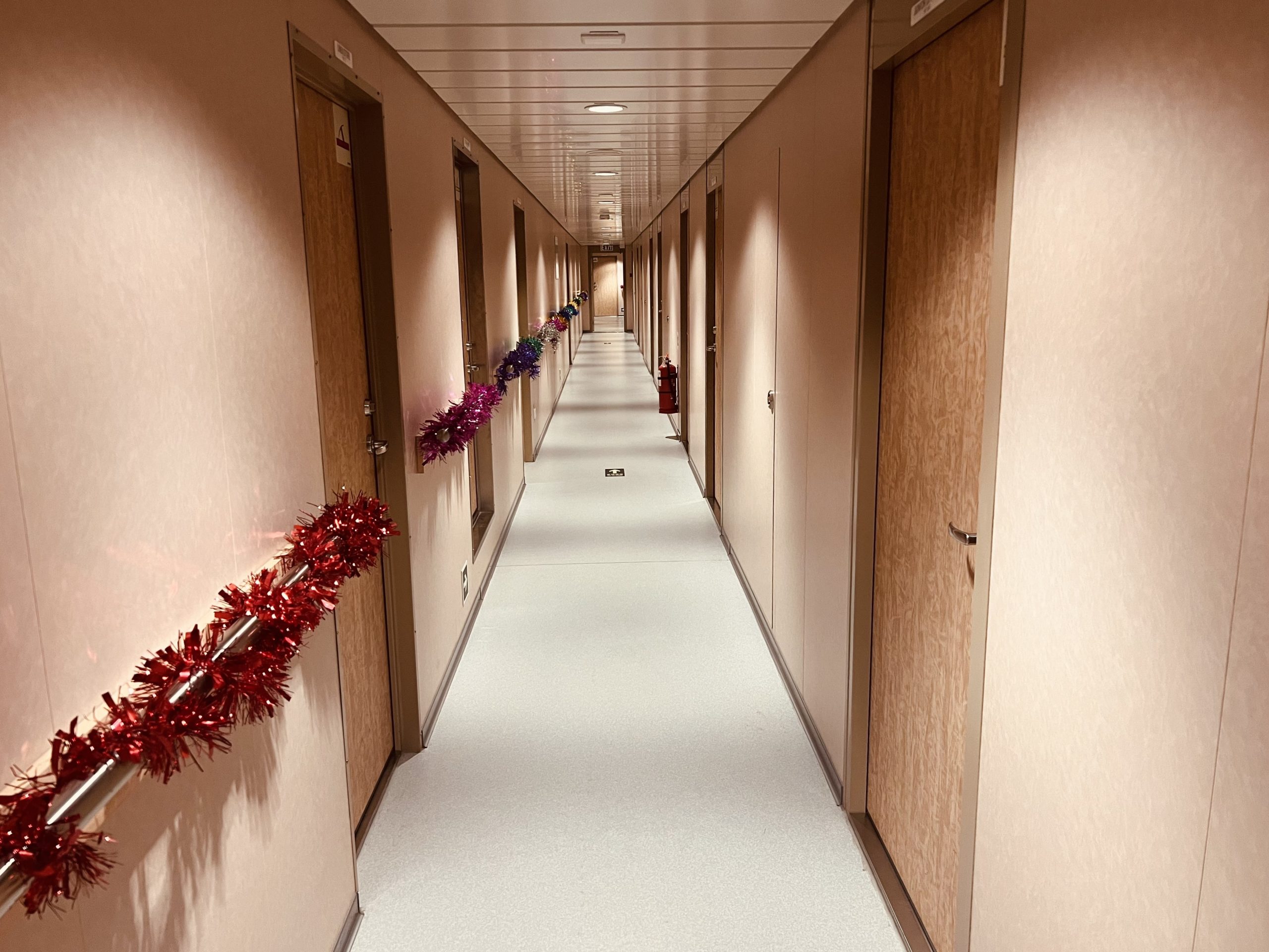 华南建材参建的全球最大最环保汽车运输船Höegh Aurora命名交付 华南建材参建的全球最大最环保汽车运输船Höegh Aurora命名交付